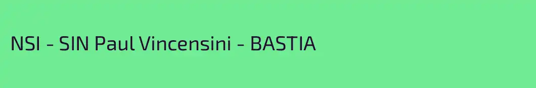 NSI - SIN Paul Vincensini - BASTIA